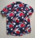 Camisa Niño BB LION. Talla 3-4 años